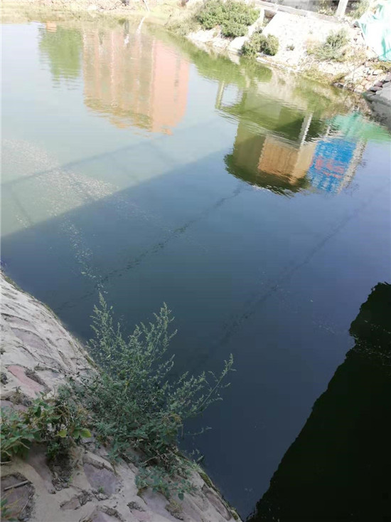 郸城新闻视频最新动态，自然美景探索之旅，寻找内心平和之地