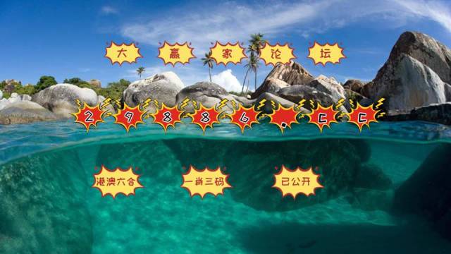 新澳门天天开奖,定性解析明确评估_感知版VKD13.95