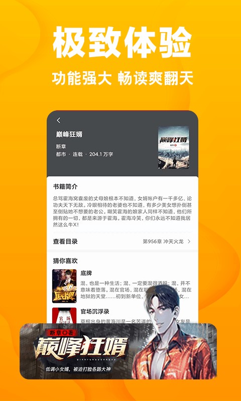 快读小说最新版,快读小说最新版，阅读体验的新革命？