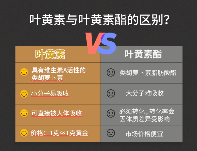 第3956页