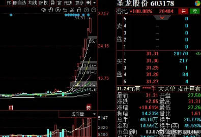 圣龙股份引领行业新动向，展现未来发展潜力，最新消息揭秘企业前景
