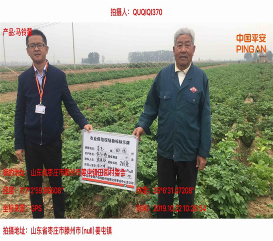 滕州土豆价格最新行情，变化中的机遇与挑战的自我超越之旅