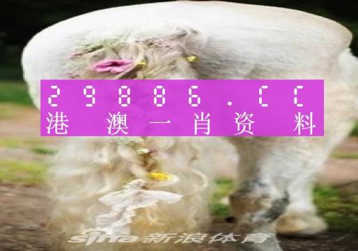 澳门四不像精准一肖一码,数据科学解析说明_原创版UWJ13.99