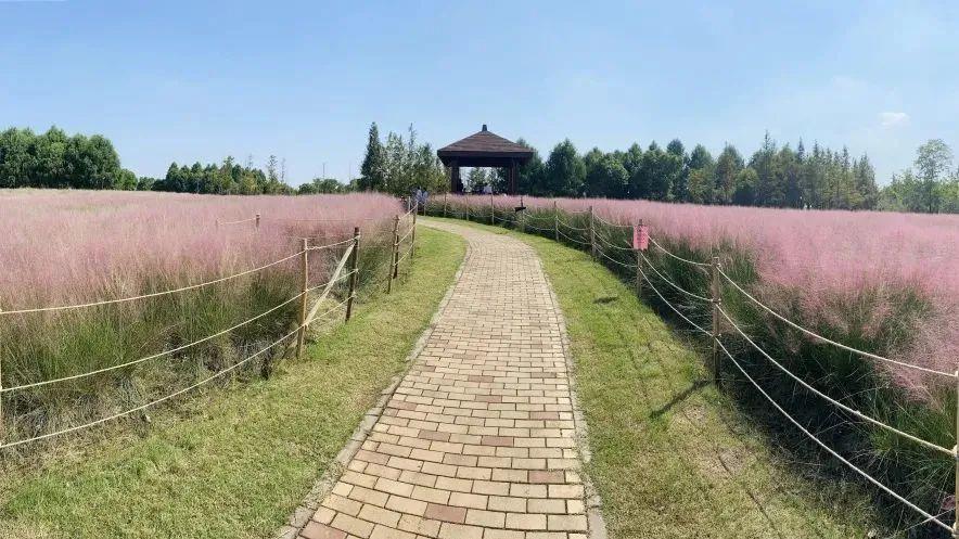 淘宝最新版本探索自然美景，一起启程的购物之旅