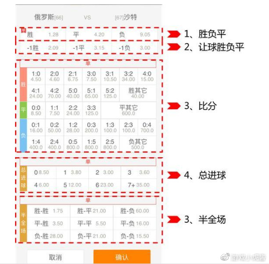 胜负彩最新开奖详解与指南，初学者与进阶用户适用（涉及违法犯罪问题请慎重参与）