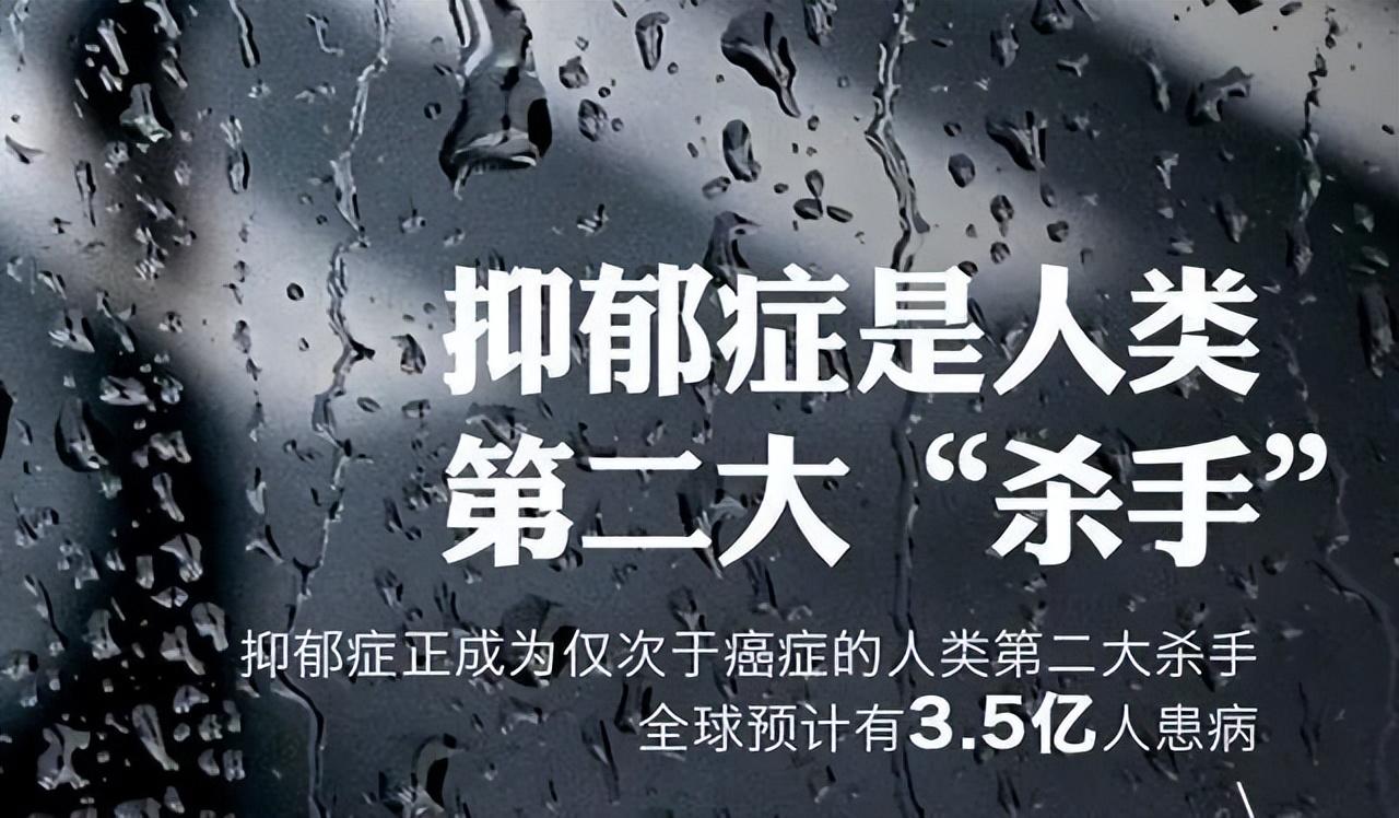 华鲁恒升最新动态及观点论述速递