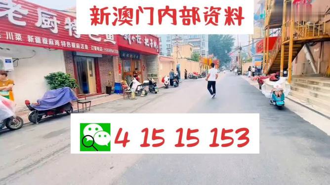 2024澳门天天开好彩大全最新版本,数据导向计划_EWG35.720稳定版