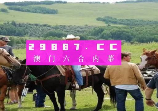 澳门网站大三巴一肖一码中,实际调研解析_HBK35.628旅行者版