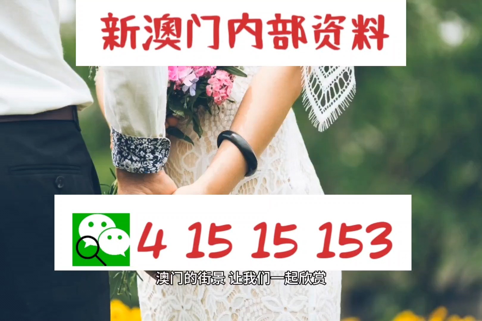 新澳门四肖三肖必开精准,现况评判解释说法_QZQ35.536硬件版