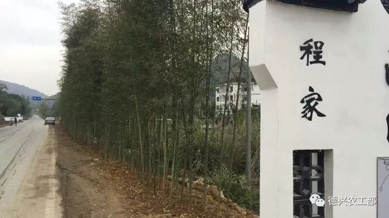 第3869页