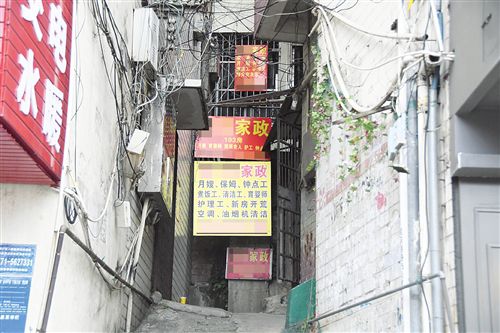 最新党政知识解读与小巷深处的秘密小店探秘