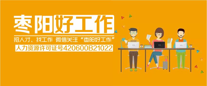 枣阳市最新招聘信息概览与观点论述