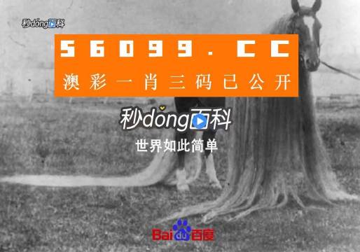 澳门一肖一码一l必开一肖,时尚法则实现_QMS35.966限定版