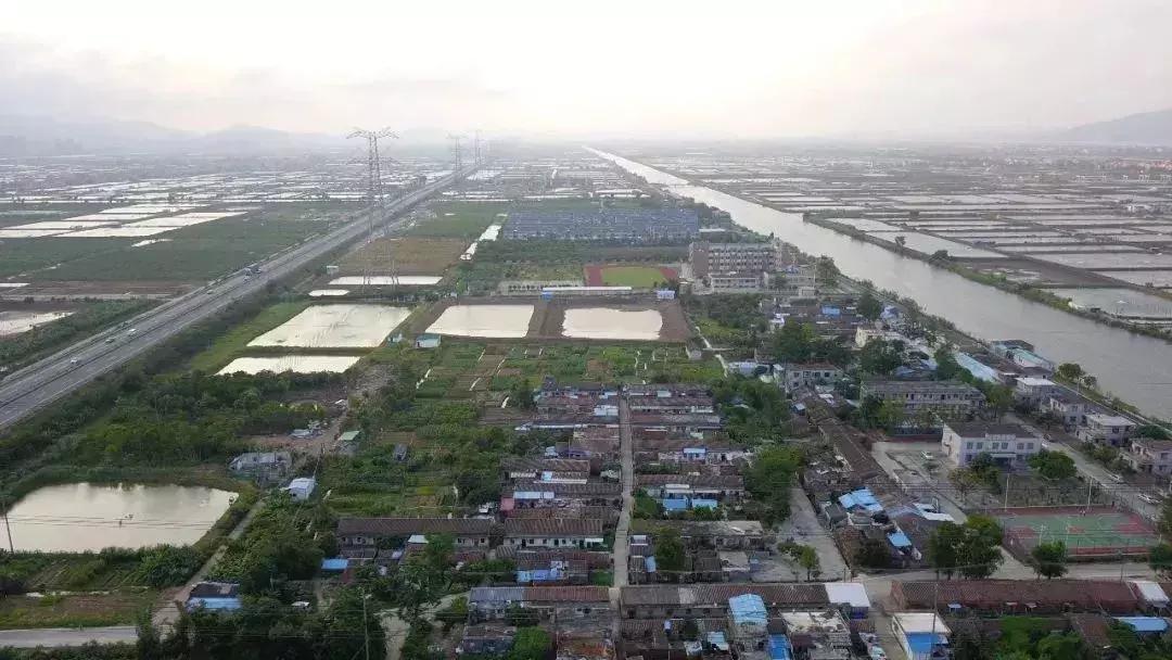 台风最新动态，第16号台风最新消息