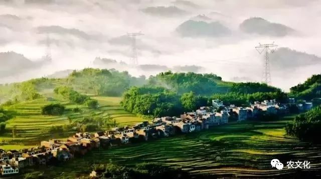 华英农业最新动态，自然美景之旅，探寻内心平和与宁静的旅程