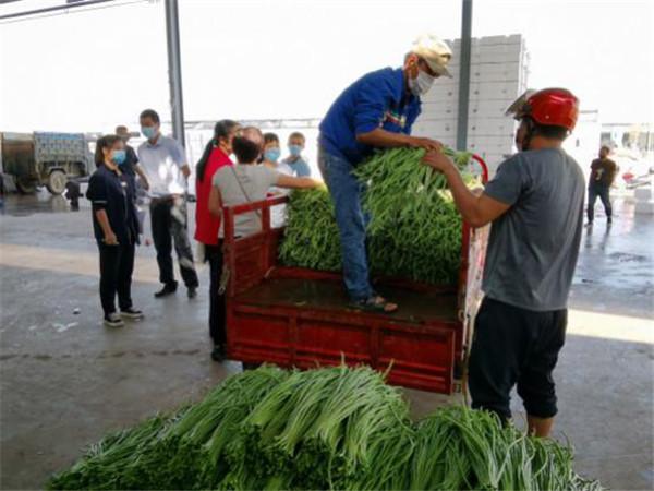 武汉科技新品震撼登场，开启未来生活新篇章体验