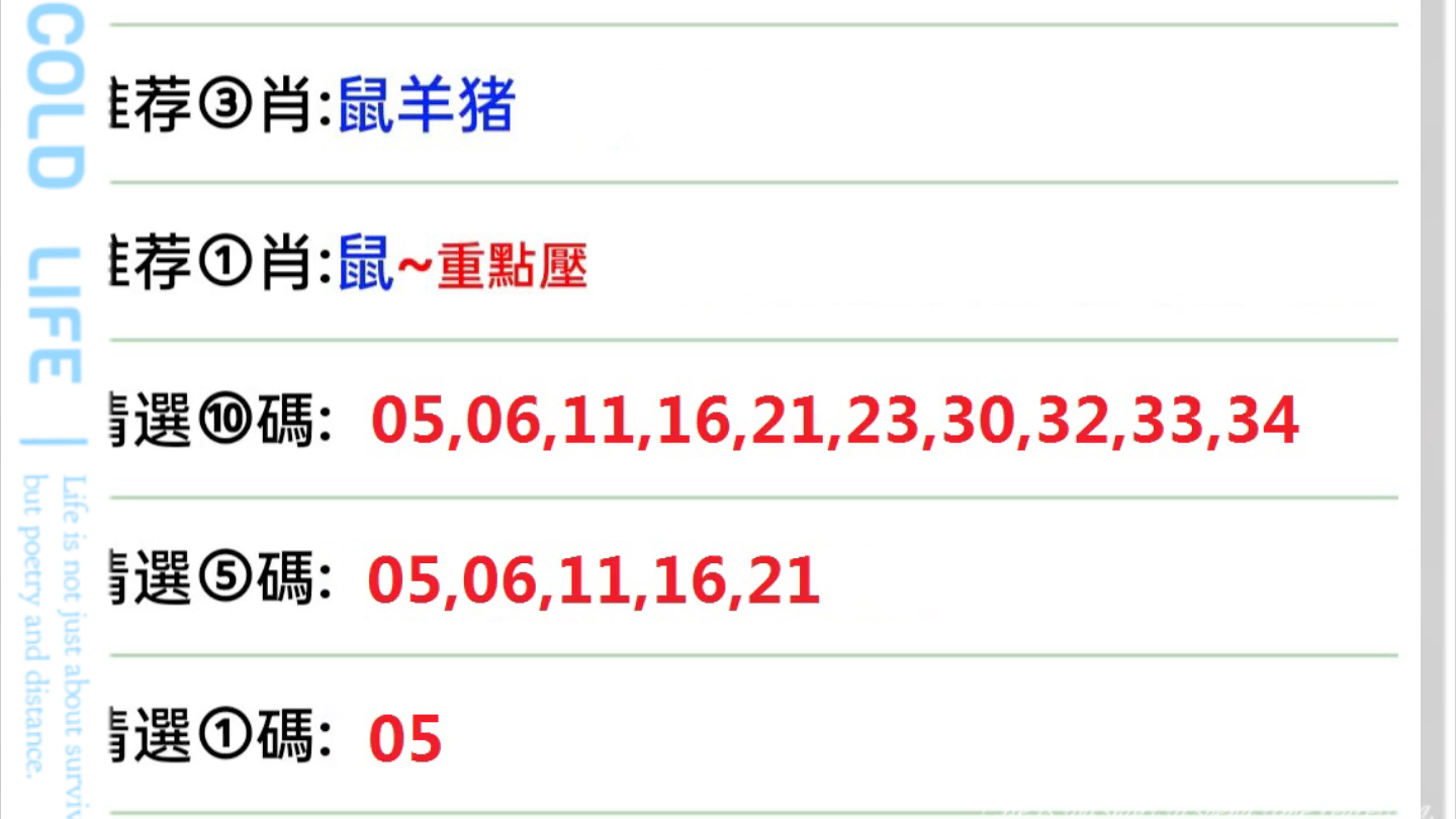 新澳门内部精准二肖,稳固执行战略分析_VNW35.946高级版
