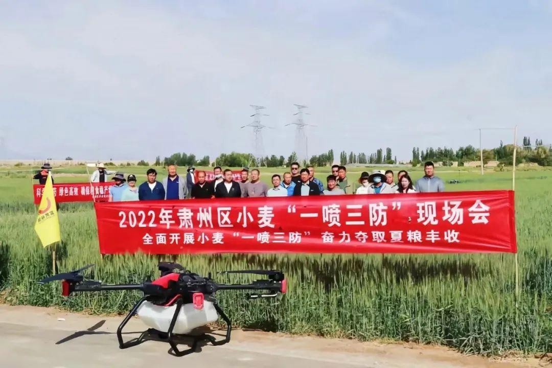 亚盛集团最新动态，深度分析与个人观点总结