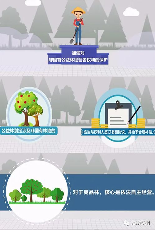 2024澳门跑狗图正版高清图片大全,处于迅速响应执行_HSR35.123服务器版