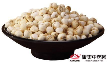 川贝母最新价格走势及市场背景深度解析