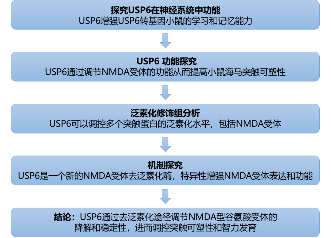 新澳资料免费,精细化方案决策_YRE35.338全景版