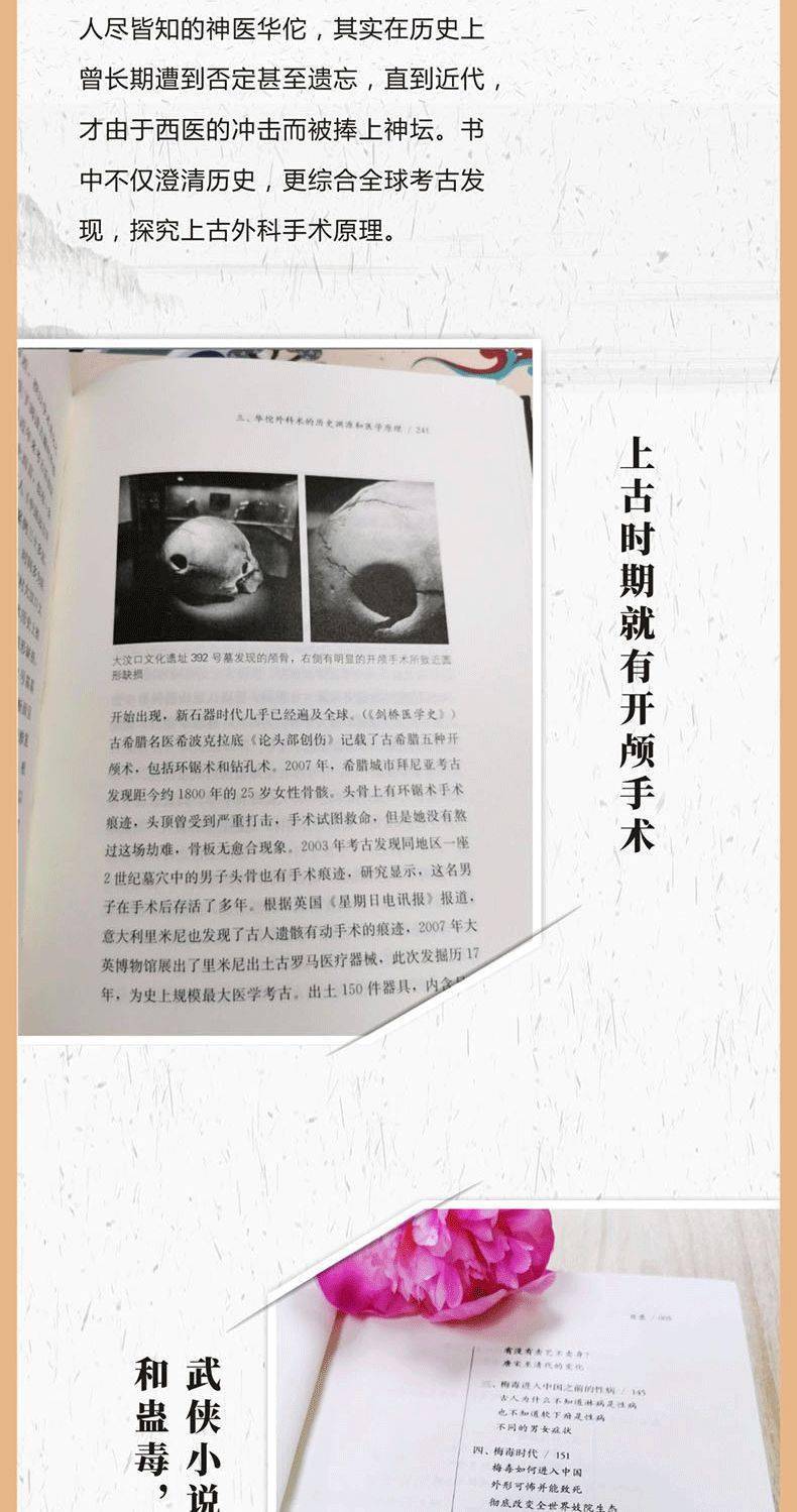 第3781页