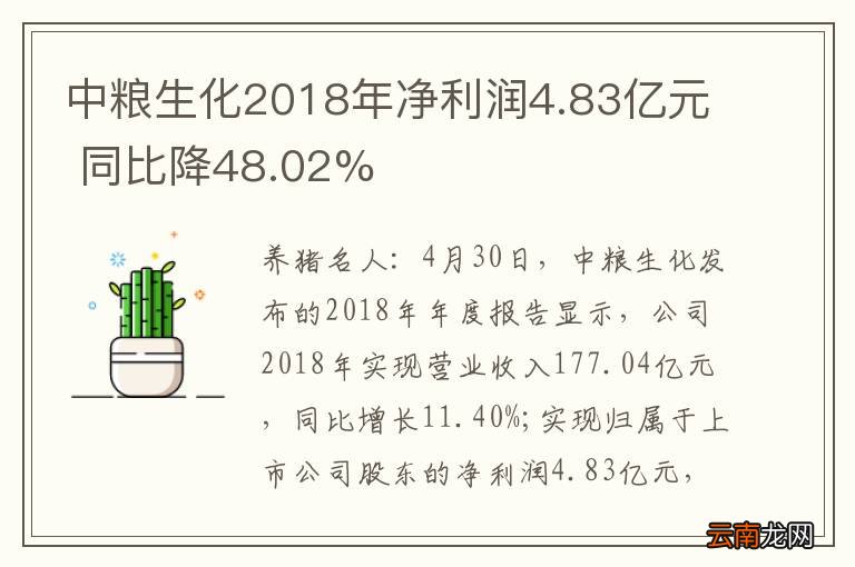 中粮生化最新动态更新🌟