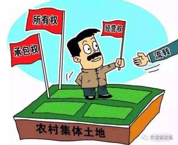 最新土地承包法全文及其解析，全面解读土地承包制度新动态