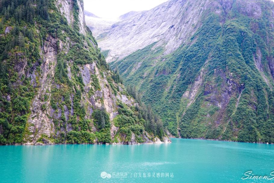 冰川网络，变革浪潮中的自信航行，成就数字梦想之旅最新消息