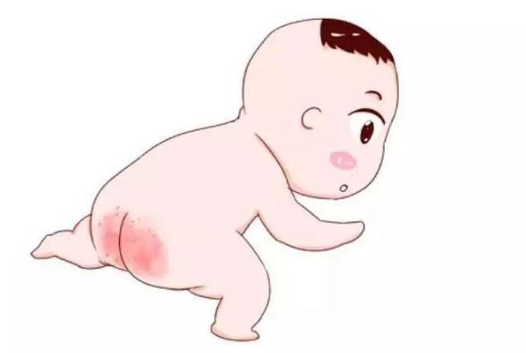 宝宝树最新消息,宝宝树最新消息🌱👶