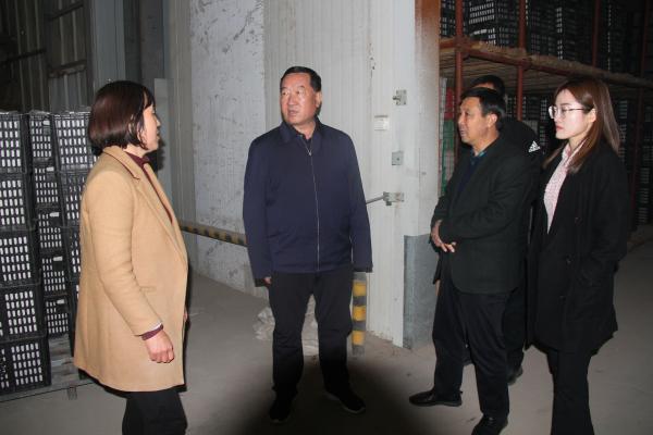 三丰智能最新动态解析，全面解读与观点阐述