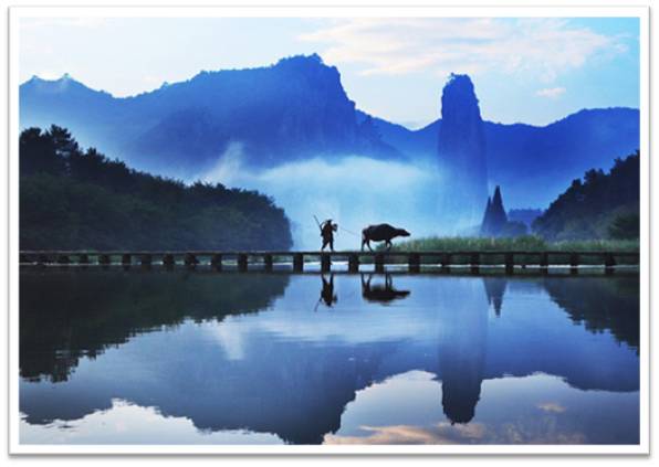 上海官员最新变动与探索自然美景之旅的双重关注