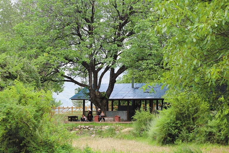高淳古柏最新招聘信息揭秘，启程探索自然美景，开启职业新旅程