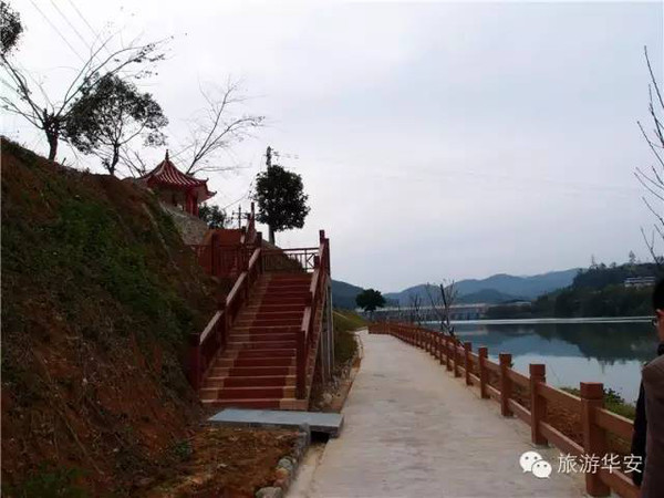 自然美景探索之旅 第23页