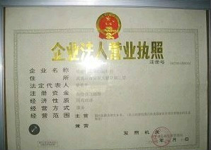 德令哈最新驾驶员招聘，全面解析与观点论述