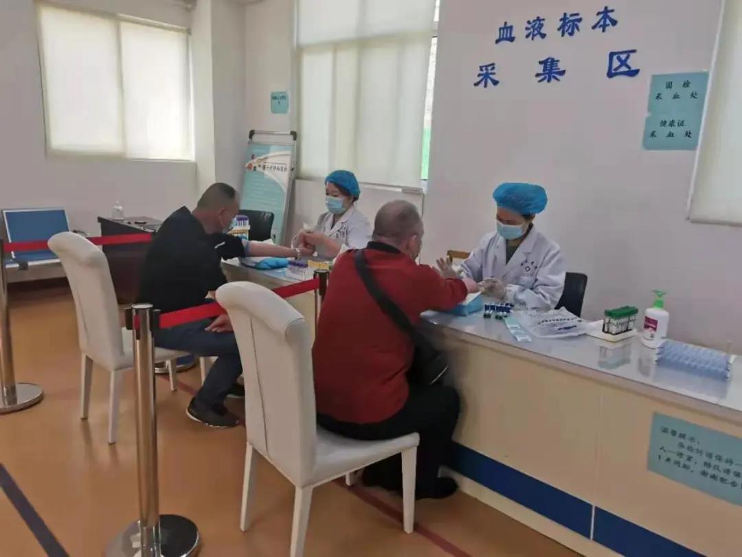 洛阳房产最新资讯概览