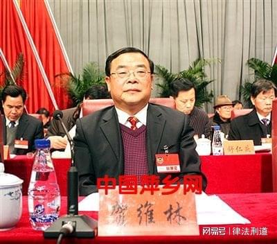 萍乡程结林最新动态揭秘，多元视角的深入探讨