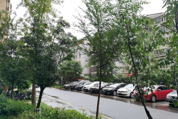 上蔡星懿华府最新动态，欢乐时光中的温馨日常