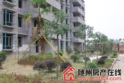 随州旺城家园最新动态揭秘，巷弄深处的独特风味