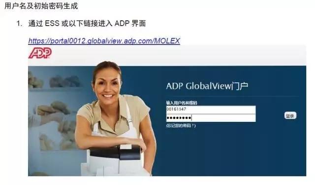 最新版MT4下载正版官网，详细步骤指南