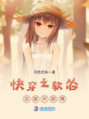 时空之家，快穿小说的温馨日常
