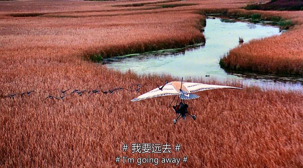探索自然美景 第10页