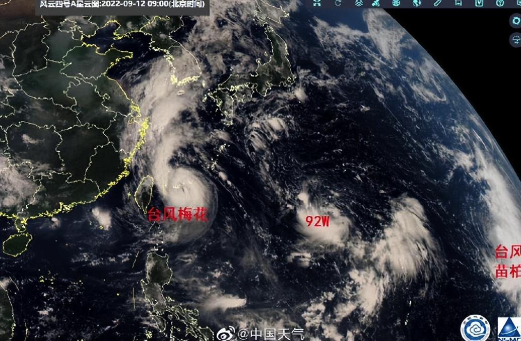 今年台风最新预警下的温馨日常