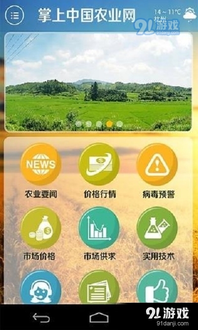 面粉行业最新动态与一场自然美景的旅行探索