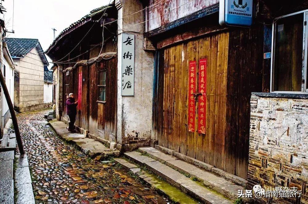最新游戏，孩子们的自然美景奇妙探险之旅
