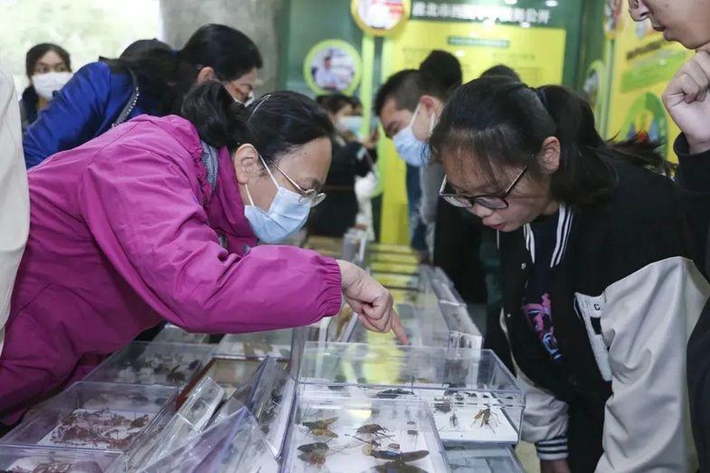 山东最新语文,重磅推出山东最新语文——科技赋能，重塑学习体验