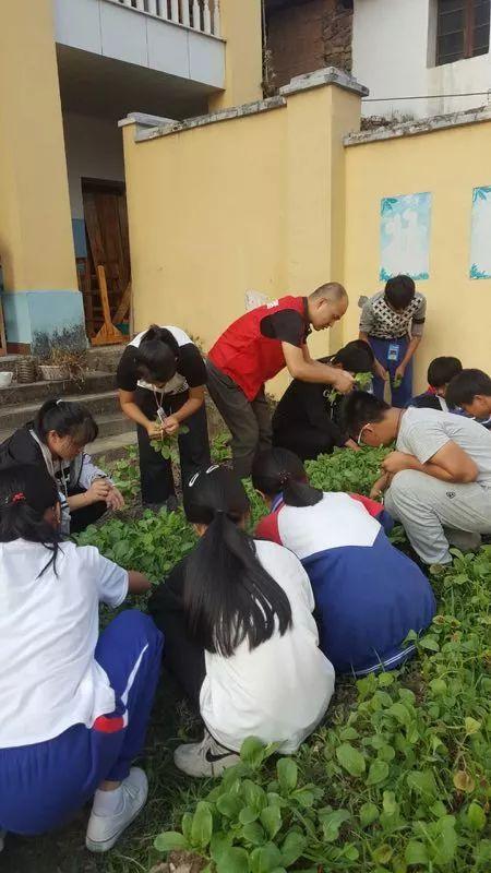 滴滴游戏攻略上海最新,滴滴游戏攻略上海最新，自信与成就感的旅程