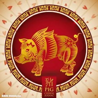 摇钱树四肖八码期期三码必中,创造力策略实施推广_1080p55.992-1