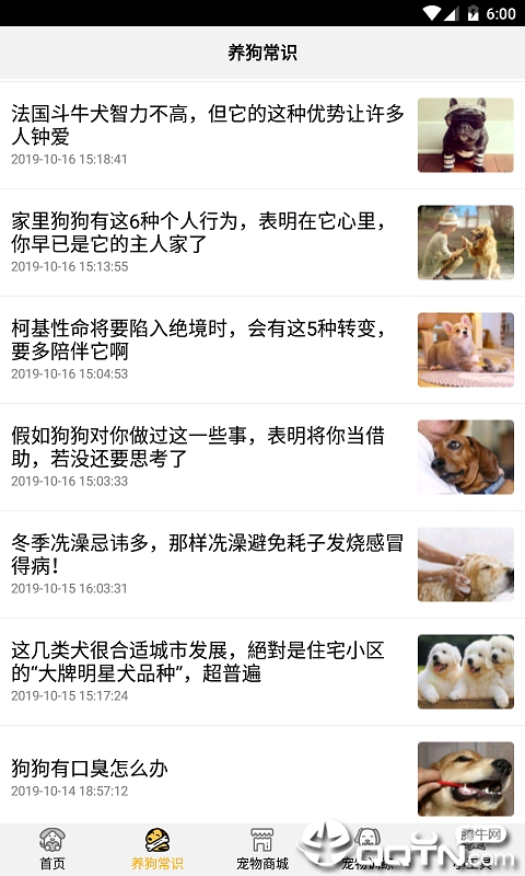 跑狗图993994www跑狗,可靠操作方案_app49.148-5