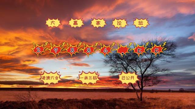 7777788888精准跑狗图正版,全面计划解析_XE版63.876-8